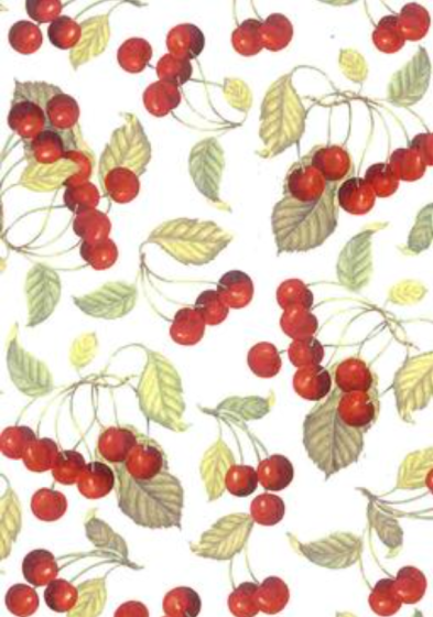 Tapete - Cerejas (70x50cm) 1