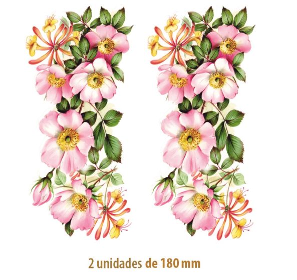 D_Wild-Rose-180mmx2un.jpg