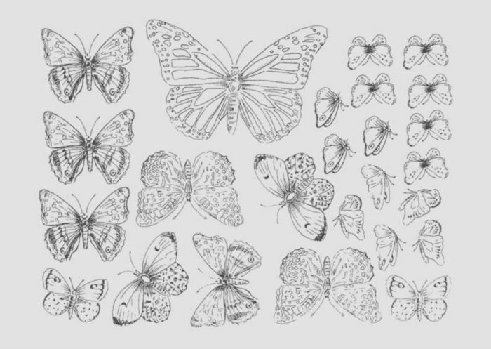 Borboleta BRANCA 01 - Porcelana 1