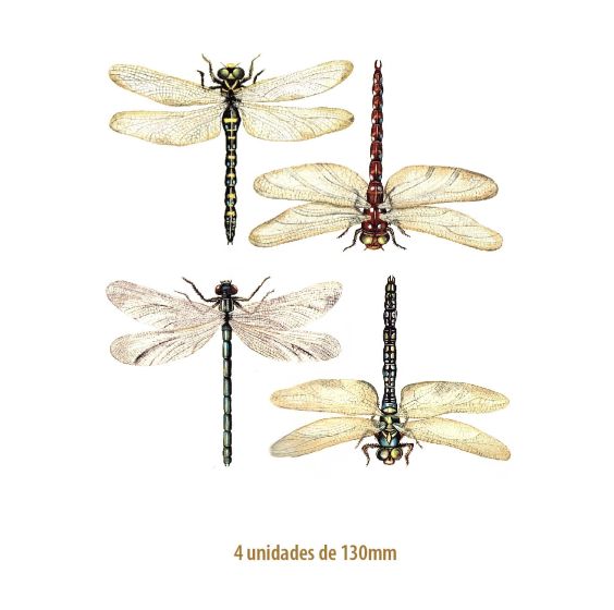 Libellules - 130mm 1