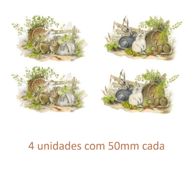 Coelho C - 50x40mm 1