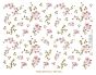Cherry Blossoms 1