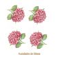 Hortencia-Rosa-50mmx4un.jpg