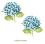 Hortensia-Azul-100mmx2un.jpg