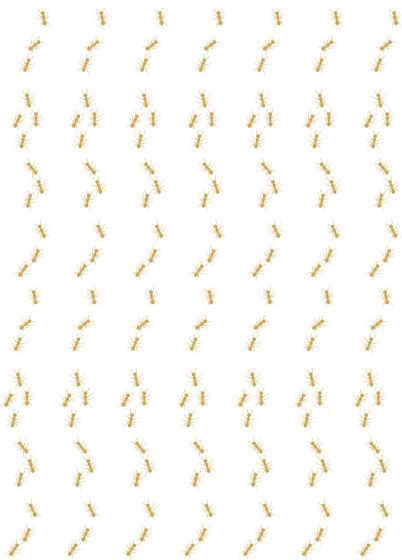 Formigas Ouro_edited.jpg