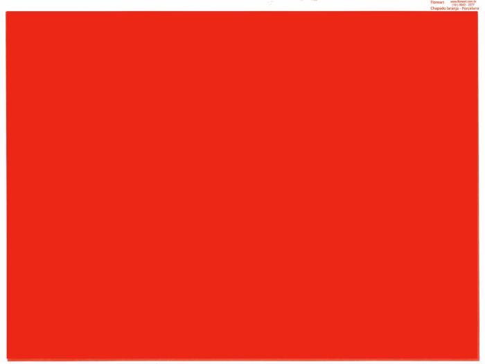 Chapado Laranja - Porcelana 1