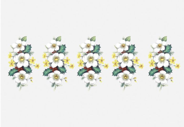 holly-flower-60x40mm.jpg