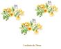 D_Yellow_Branch_70mmx3un_A.jpg