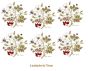 D_RosaCanina-75mmx6un.jpg