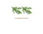 Decalques Flor de Muguet - 70mm 1