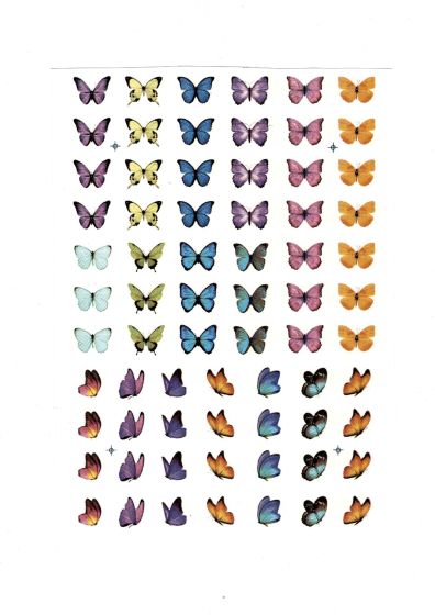 Borboleta Colorida Mini 1