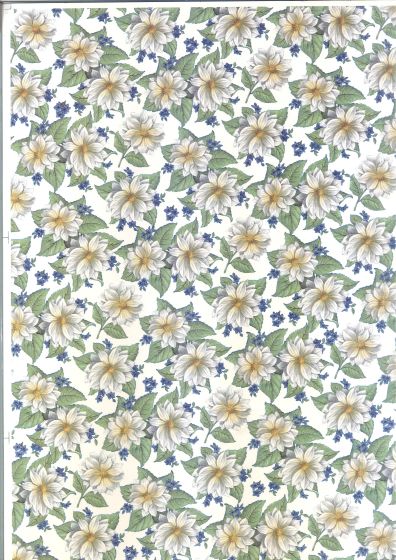 tapete melissa small.jpg