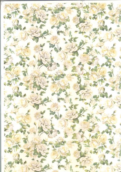 tapete rosalia small.jpg