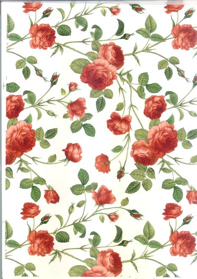 Tapete - Carlota Large (70x50cm) 1