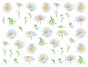 Margarida Daisy - Vidro 1