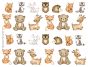 Animais da Floresta 1
