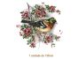 BIRD-ON-CHERYBLOSSOM-135mm.jpg