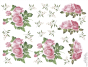 Rosas 02.png