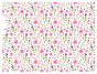 Fleurs de Maguerites - Porcelana 1