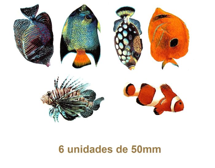 Tropical-Fishes-50mmx6un.jpg