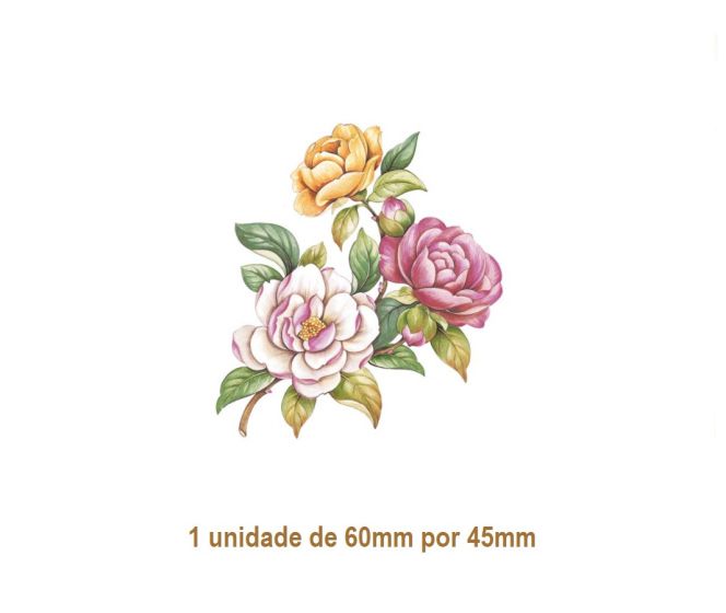Camellia - 60x45mm 1