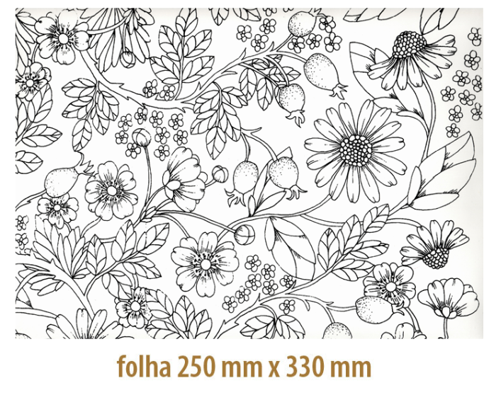 Decalque Contorno Flores e Frutos Preto - Vidro 1