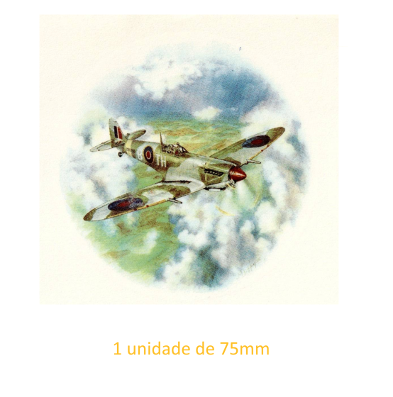 Transports - Airplane 75mm 1