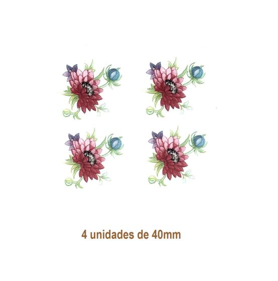 Flowers of February - 35mm 1