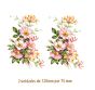 D_Wild-Rose-120x75mm-2un.jpg