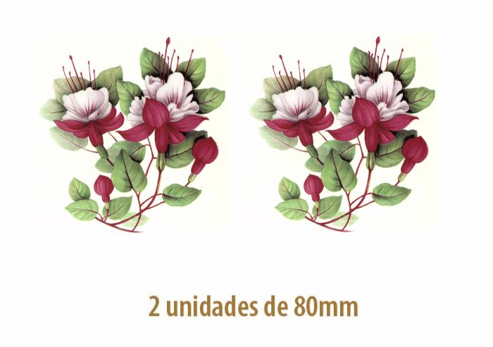 Pink Fucsia - 80mm 1