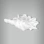 Aplique Concha Murex 1