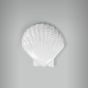 Aplique Concha Scallop 1