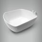 Bowl Bird 2