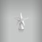 Aplique Estrela 2