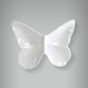 Borboleta Grande 1
