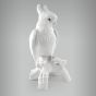 Cacatua sem Arrepio 1