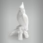 Cacatua sem Arrepio 4