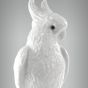 Cacatua sem Arrepio 2