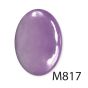 M817 - GERANIUM PINK - Embalagem de 7gr 1