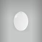 Medalha Oval 20 com Furo 5,5 X 4 1