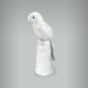 Maritaca Femea - 25cm 2