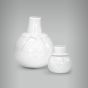 Moringa Boneco de Neve 3