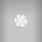 Aplique Flor Cravina 1