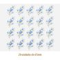 D_Little_Blue_Rose_65mmx20un_A.JPG