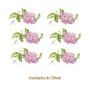 D_Lilac_Branch_50mmx6un_A.jpg