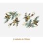D_Goldcrest_100mmx2un_A.JPG