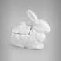 Coelho-Porcelana-09b.jpg