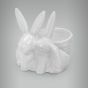 Coelho-Porcelana-05a.jpg