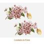 D_Pink_Branch_95mmx2un_A.JPG