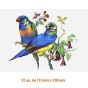 D-BEAUTY-BIRDS-130-2.jpg